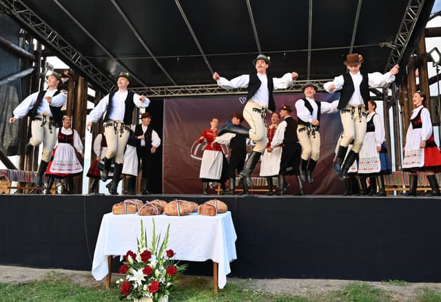 Szomszédolás