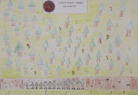 Csíkszereda, Nagy Imre Általános Iskola, II-III. C. osztály